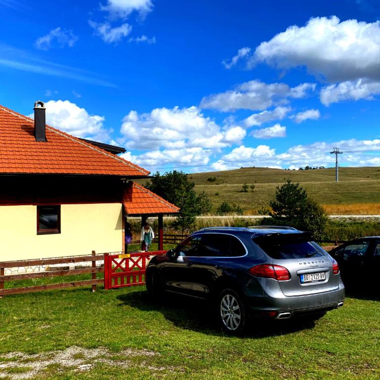 Ski House Tornik Zlatibor - Vacation Home - 23