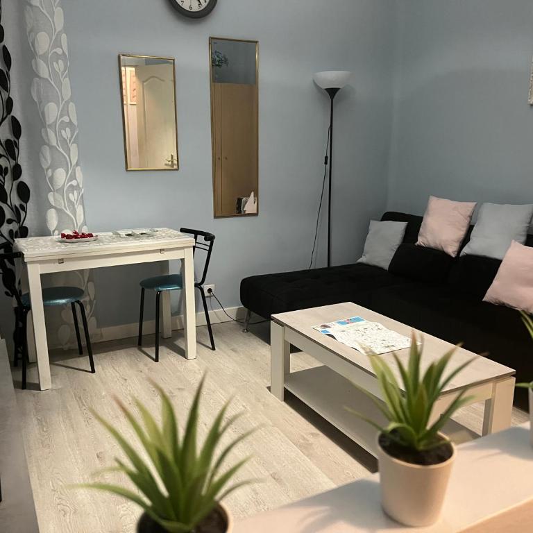 Retiro Atocha Paseo Del Prado , Madrid - Two-Bedroom Apartment - 90