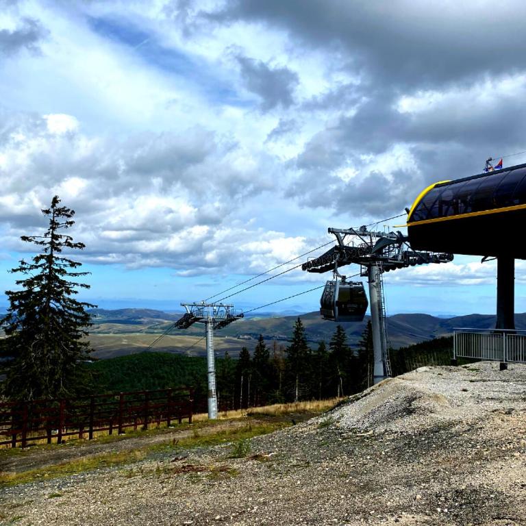 Ski House Tornik Zlatibor - Vacation Home - 27