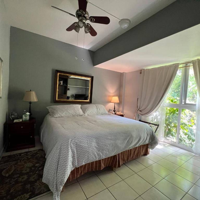 Dickinson Guest House, Guadalajara Expo - Habitación Deluxe - 1 cama grande - 25