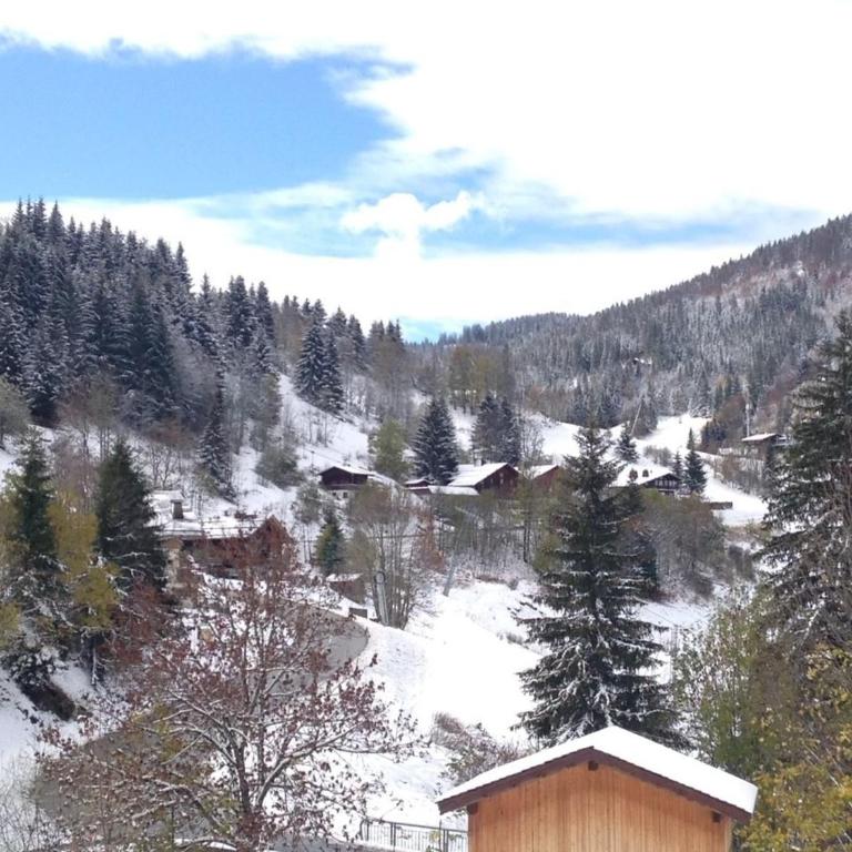 Appartement avec terrasse pour 6 personnes proche pistes à La Clusaz - FR-1-459-199 - Apartment - 3
