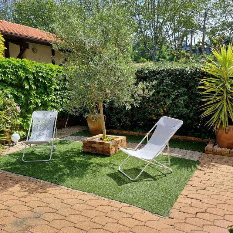 Arcachon, Ville de Printemps - Appartement T2 avec Jardin à 250m des Plages - FR-1-433-91 - Apartment - 7