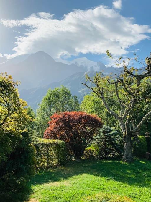 Logement avec jardin et vue panoramique MontBlanc - Appartement 2 Chambres - 14