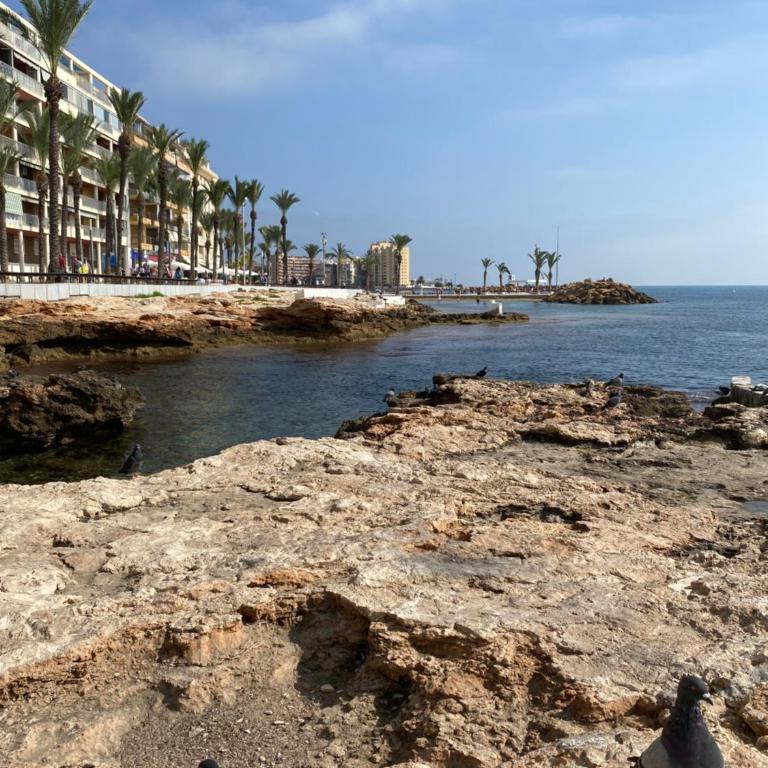 Piso del Mar Azul Torrevieja - Apartamento de 2 dormitorios - 3