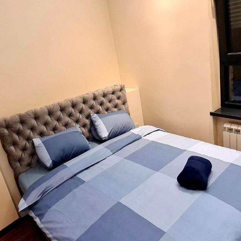 Lux apartment in city center - Deluks Dvokrevetna Soba sa Bračnim Krevetom/Zasebnim Krevetima - 11