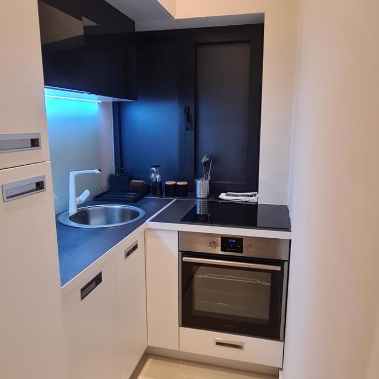 Lux apartment in city center - Deluks Dvokrevetna Soba sa Bračnim Krevetom/Zasebnim Krevetima - 10