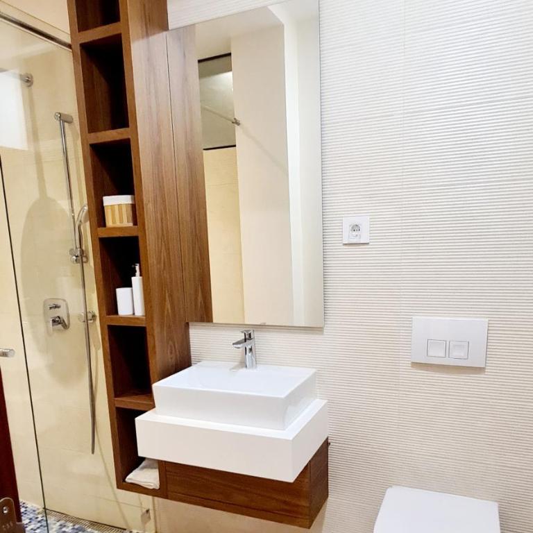 Lux apartment in city center - Deluks Dvokrevetna Soba sa Bračnim Krevetom/Zasebnim Krevetima - 13