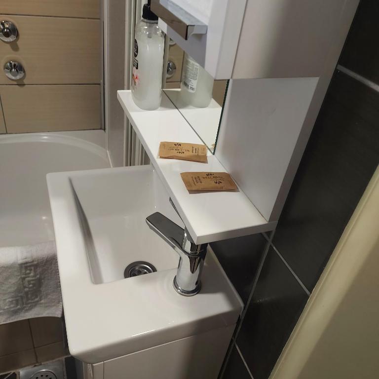 APARTMAN POZORISTE Penthaus - Penthaus Apartman - 32