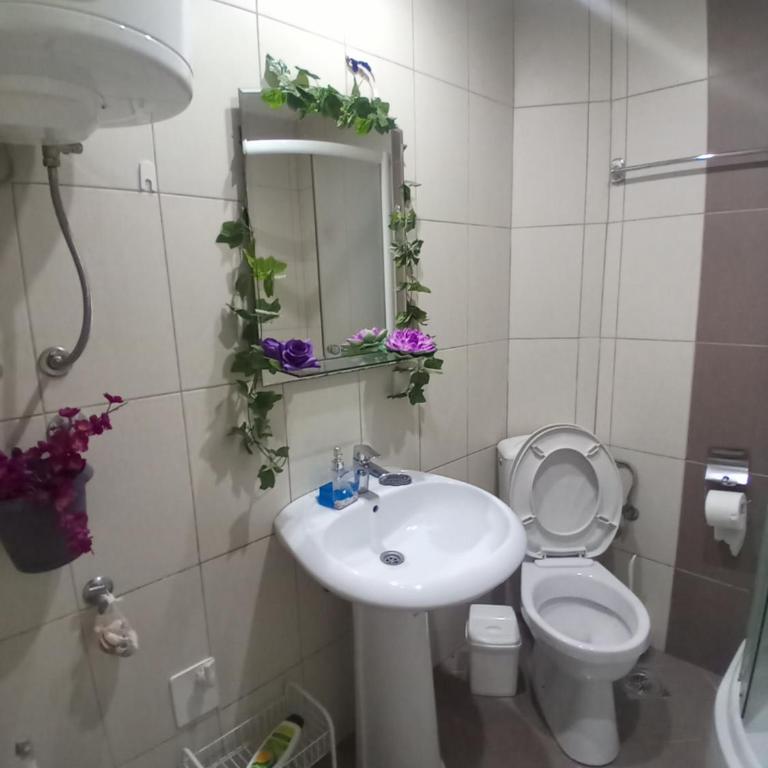 Studio ARIES - Apartman - 10