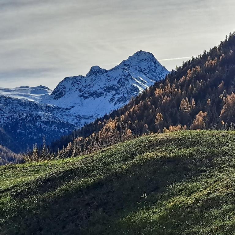 La Thuile bilocale frazione Entrèves Condominio Ametista 30 - Apartamento de 1 dormitorio - 4