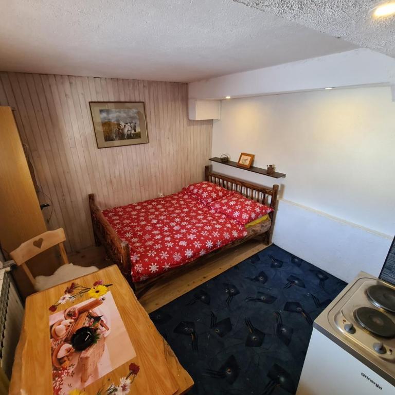 Villa Rustika - Studio (2 Adults) - 10