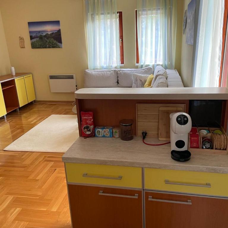 Yellow & Green Apartment - One-Bedroom Apartment - 13