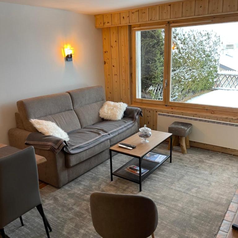 Superbe appartement avec vue et parking gratuit - Apartment mit 1 Schlafzimmer - 8