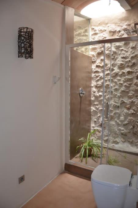 Son Vell. Mallorca. Casa amb piscina ecològica. - Casa de 5 dormitorios - 15