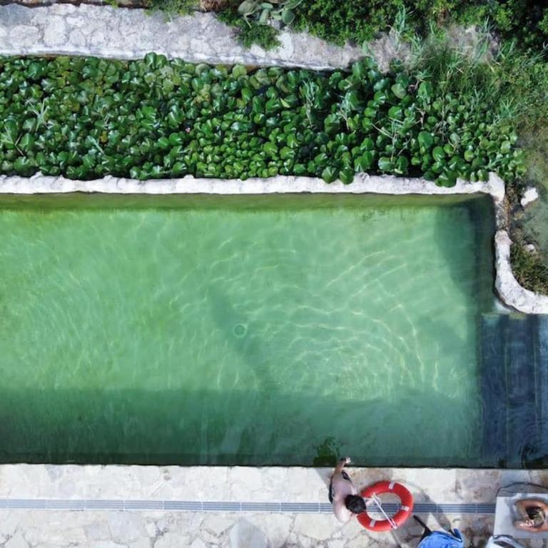 Son Vell. Mallorca. Casa amb piscina ecològica. - Casa de 5 dormitorios - 24