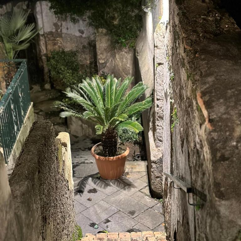 Sweet Home QuiSiSana - Casa Vacanze - 34