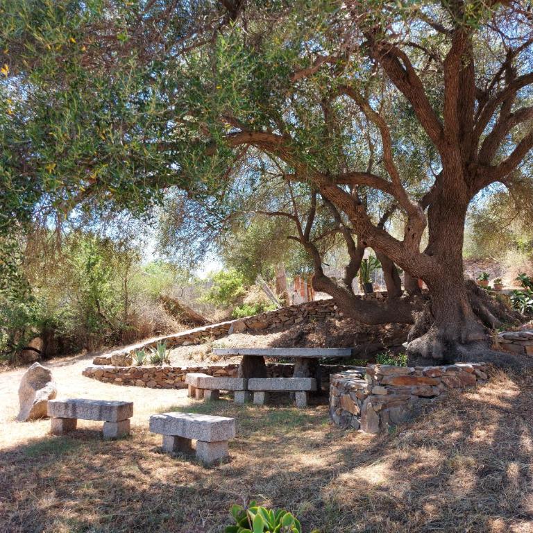Stazzo vista mare - Appartamento con 2 Camere da Letto - 11