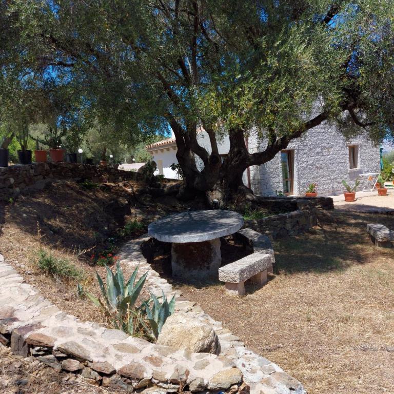 Stazzo vista mare - Appartamento con 2 Camere da Letto - 39