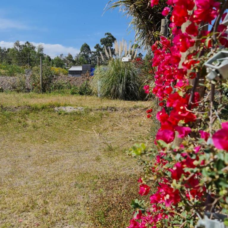 Casa J moderna con amplio jardín en barrio de profesionales - Casa de 2 dormitorios - 22