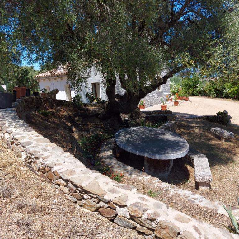 Stazzo vista mare - Appartamento con 2 Camere da Letto - 2
