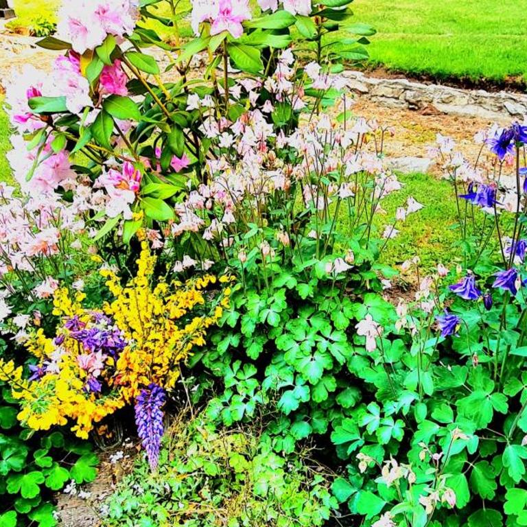 LADERAS DEL CAMPANARIO - Two-Bedroom Chalet - 22