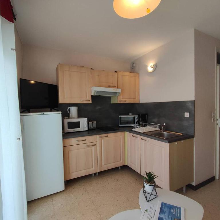Agréable T1 proche établissement Thermal, animaux admis - FR-1-571-18 - Appartement (2 Adultes) - 2