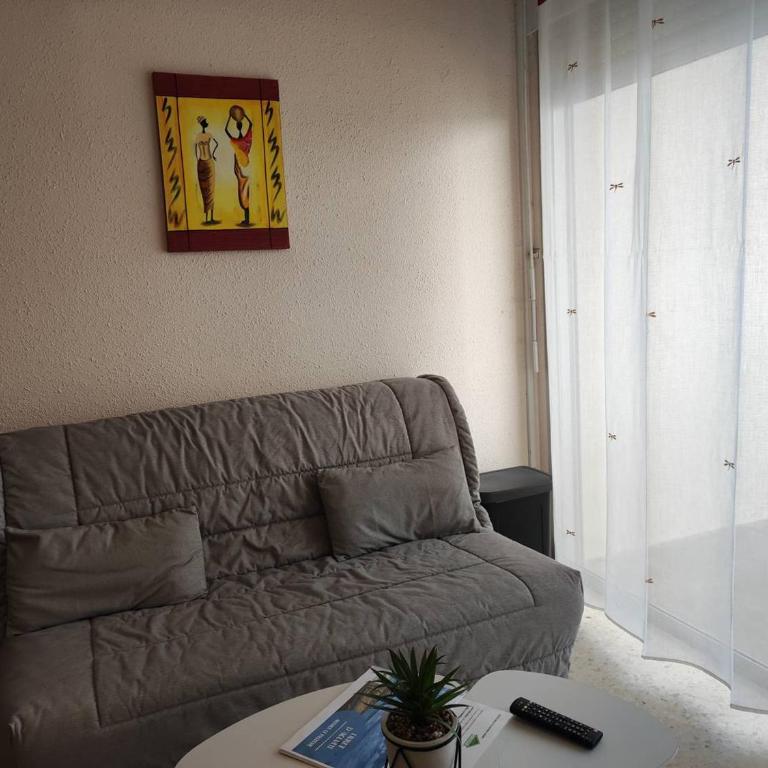 Agréable T1 proche établissement Thermal, animaux admis - FR-1-571-18 - Appartement (2 Adultes) - 3
