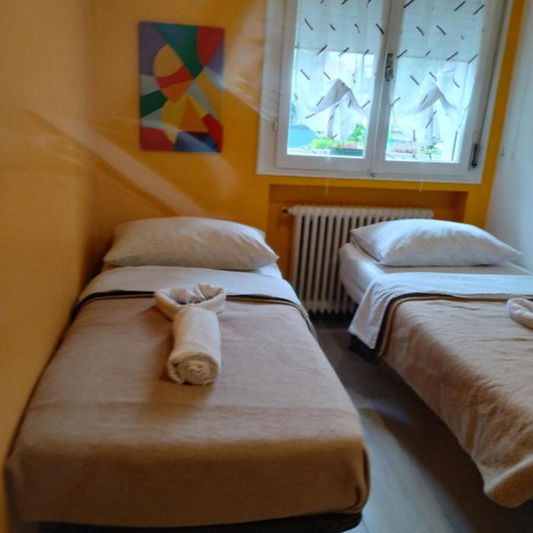 Appartamento Intero Bilocale Vicino all'ospedale e al centro storico Park free - Appartamento - 26