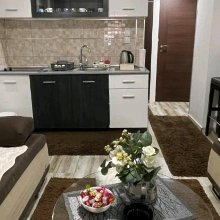 ANASTASIJAKOP - Studio Apartman - 6