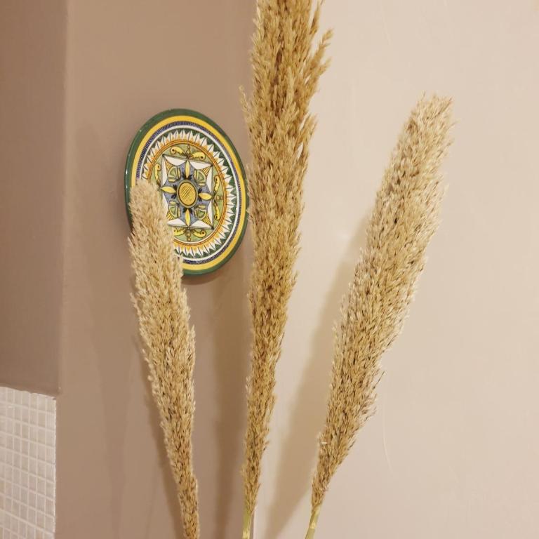 Dolce casa centro storico di Palermo new 2023 - Appartamento - 2