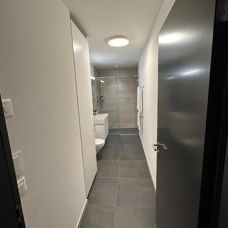 Beautiful Sunny New 1 Bed Apt (2.5Zim). Ski in/out - Apartment mit 1 Schlafzimmer - 16