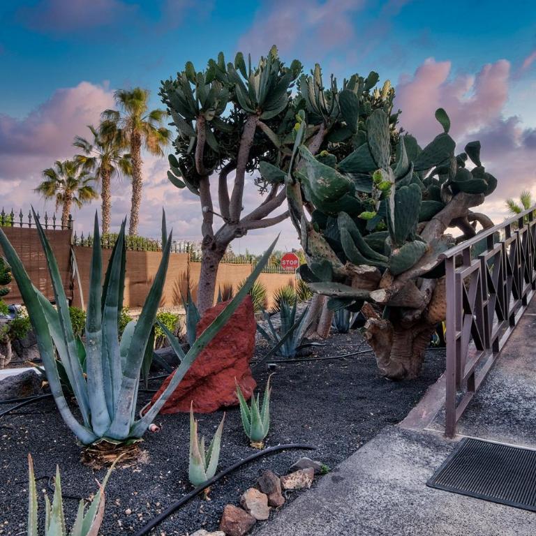 Studio Etna-near Playa Flamingo - King Studio - 22