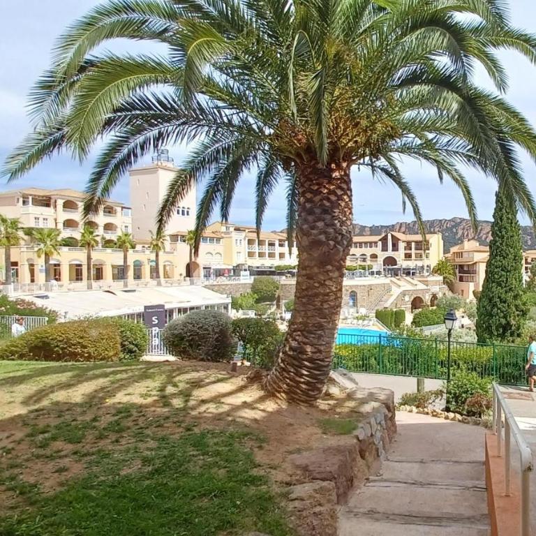 Village Cap Estérel Agay St Raphaël vue mer et piscine - Appartement 1 Chambre - 39