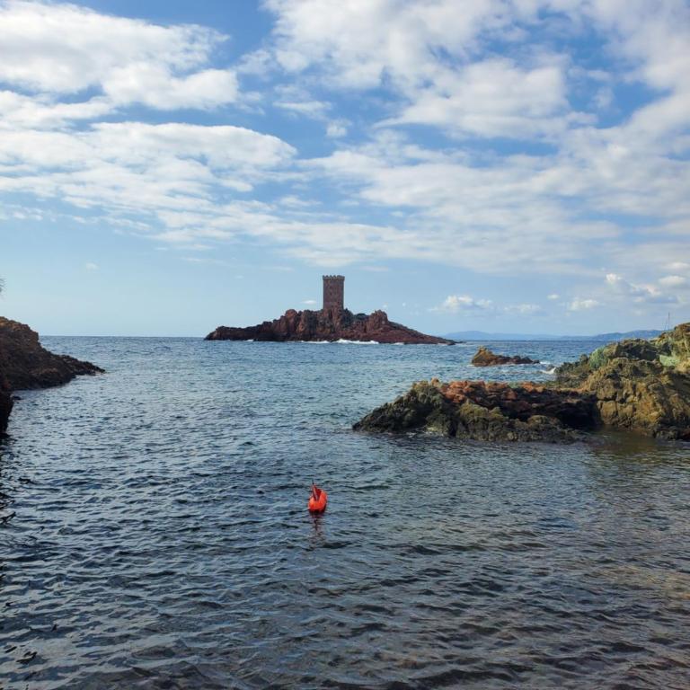 Village Cap Estérel Agay St Raphaël vue mer et piscine - Appartement 1 Chambre - 31