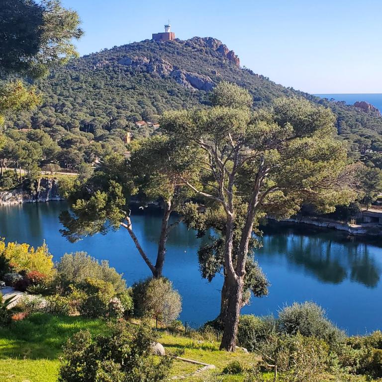 Village Cap Estérel Agay St Raphaël vue mer et piscine - Appartement 1 Chambre - 26