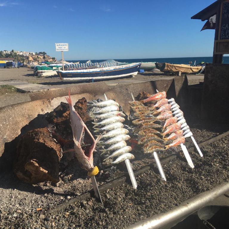 Malagueta Blue Beach - Apartamento de 1 dormitorio - 29