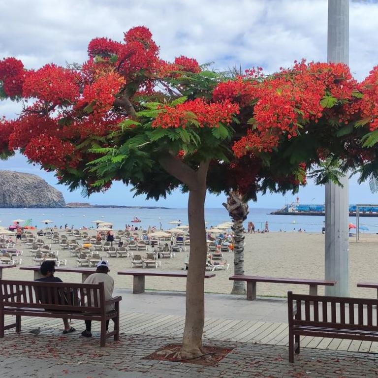 The Heights 2 Bedroom apartment - Apartamento de 2 dormitorios - 61