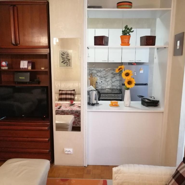 Star Apartment Belgrade - Apartman - 24