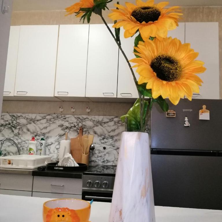 Star Apartment Belgrade - Apartman - 28