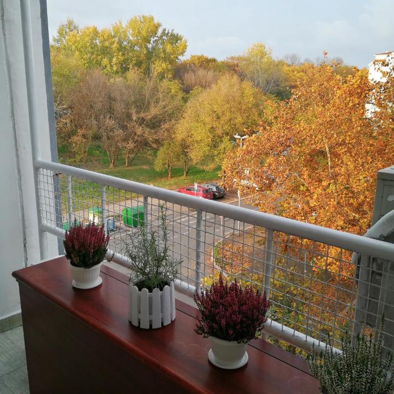 Star Apartment Belgrade - Apartman - 81