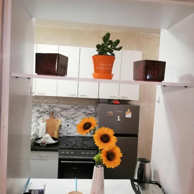 Star Apartment Belgrade - Apartman - 26