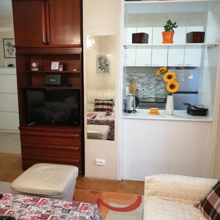 Star Apartment Belgrade - Apartman - 23