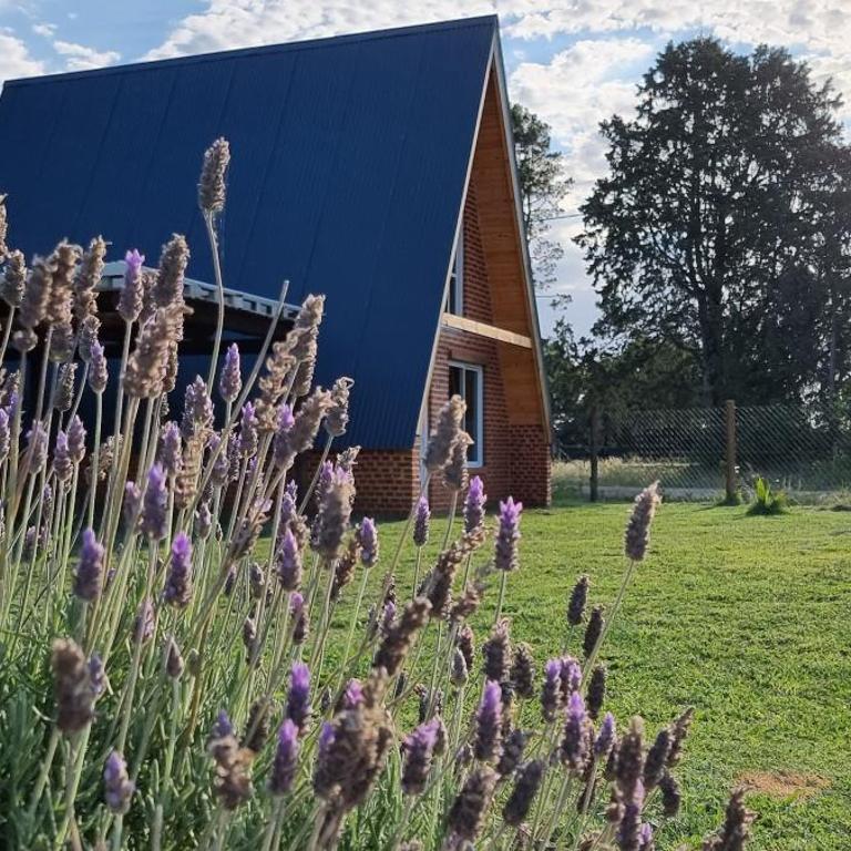 LAS ALPINAS - Casa Unifamiliar de 3 dormitorios - 12