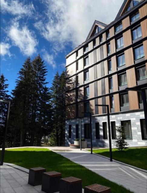 Woodside Duplex Apartment Ski in Ski out with garage - Deluxe Apartment - 13
