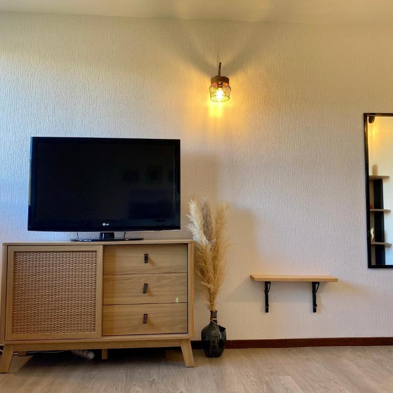 Suite au pied des pistes - Pla d'Adet - One-Bedroom Apartment - 3