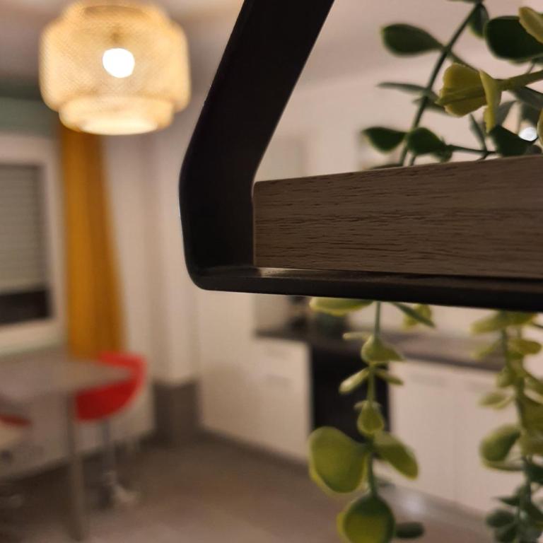 CocooningSpace tout équipé + parking privé - Appartement 1 Chambre - 16