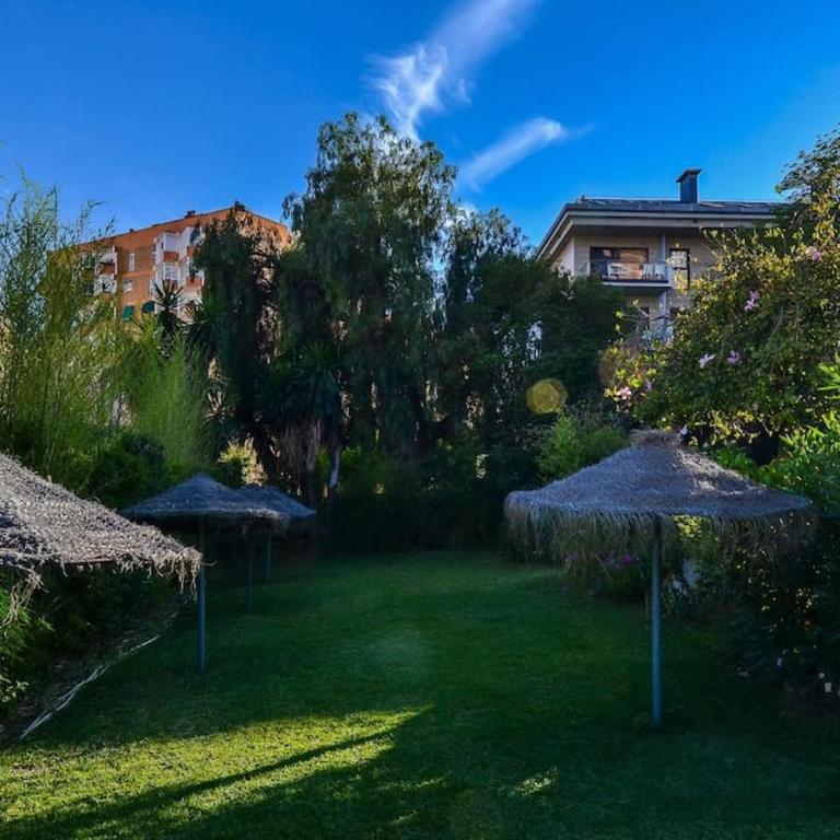 Studio Acuario Benalmadena - Estudio - 19