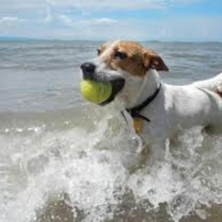 Habitacion 2A Hydro Jacuzzi Altamar Playas - Apartamento de 1 dormitorio - 14