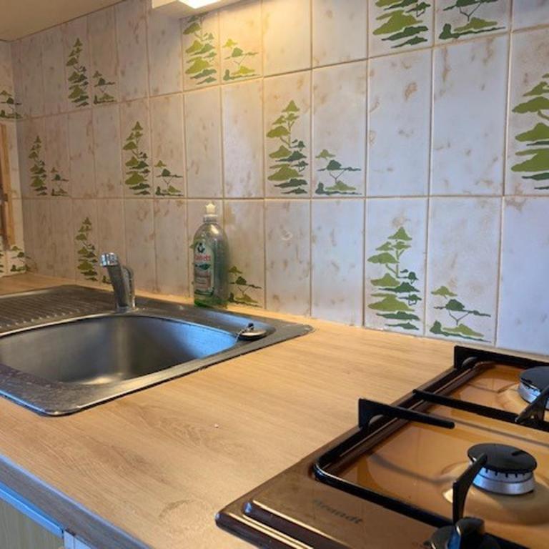 Joli T2 Rez-de-Jardin Avec Piscine et Parking - FR-1-607-110 - Maison de Vacances - 7