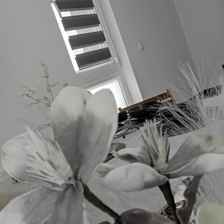 Divcibare As apartmani - Apartman sa 1 Spavaćom Sobom - 27